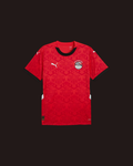 Maillot Egypte Domicile