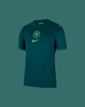 Maillot Extérieur Nigeria 25/26